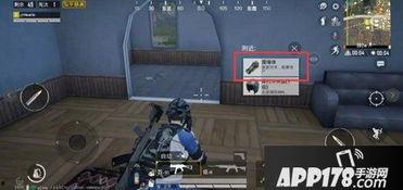 和平精英套装最新爆料,神秘套装即将亮相，炫酷外观引期待